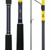 DAIWA SEABASS 110XH SPIN ROD