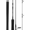 DAIWA 20 TD SALTWATER S56-3/5 SPIN ROD