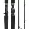 DAIWA 21 TIERRA 601HFB BAITCAST ROD