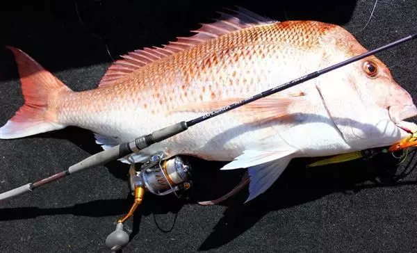 NS Black Hole N.S EXPLORER C582 LIGHT JIGGING BAITCAST ROD 2 NS Black Hole N.S EXPLORER C582 LIGHT JIGGING BAITCAST ROD - Image 2