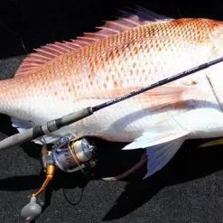 NS Black Hole N.S EXPLORER S575 LIGHT JIGGING SPIN ROD -Cheap Line Store 2606 1