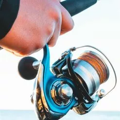DAIWA TIERRA LT 2000D SPIN REEL -Cheap Line Store 762 1